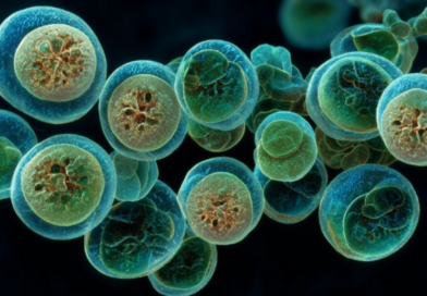 Estados Unidos investiga un amplio brote de ciclospora con más de 1,600 casos confirmados