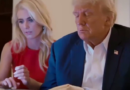 Natalie Harp, la asesora de Trump cuya lealtad la llevó hasta viajar en la cajuela de una camioneta