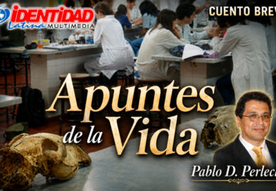 Apuntes de la Vida