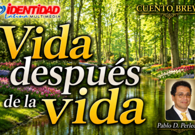Vida después de la vida