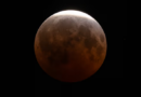 Así fue el eclipse lunar que pudo observarse en Estados Unidos