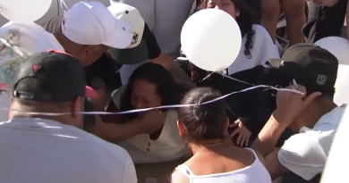 Niña de 7 años muere tras ser apuñalada mientras caminaba en Chicago