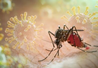 Florida enfrenta el mayor brote de dengue en décadas
